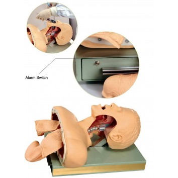ADVANCED AIRWAY INTUBATION TRAINING SIMULATOR (SOFT)